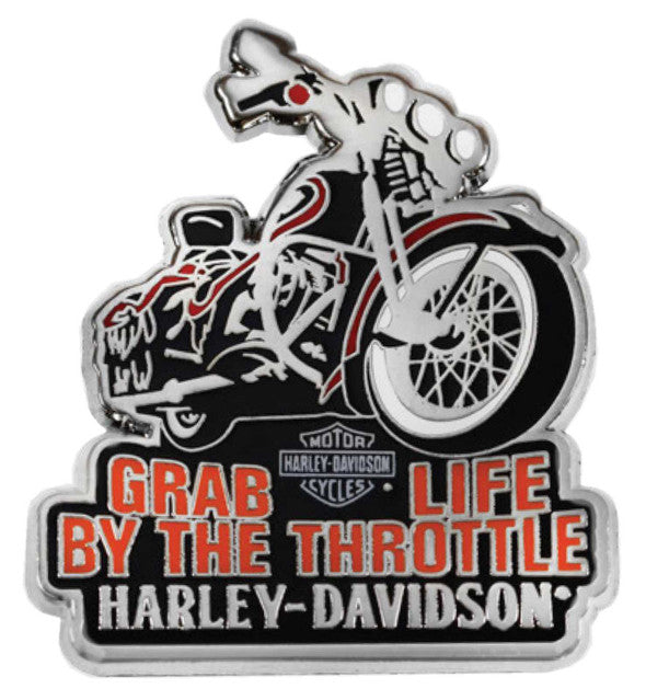 Harley-Davidson Pin
