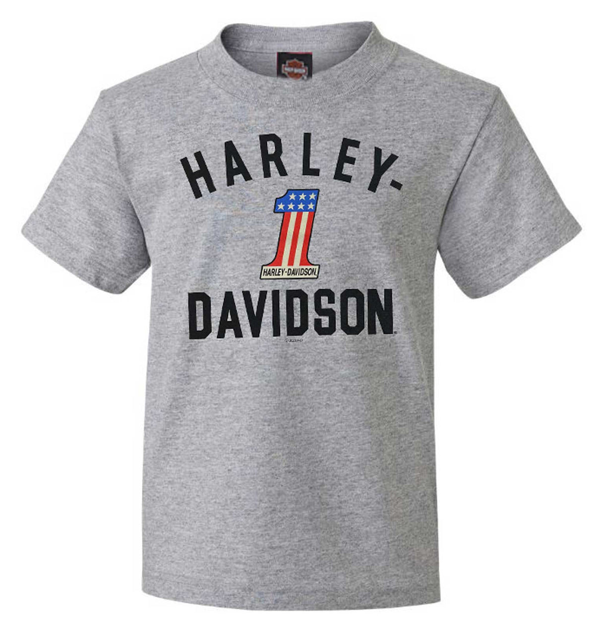 Harley-Davidson Shirt #1 Jungs Grau