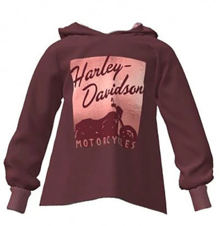 Harley-Davidson  Little Girls Hoodie