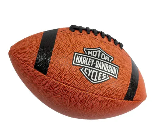 Harley-Davidson Stealth Football