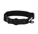 Halry-Davidson Hunde Halsband